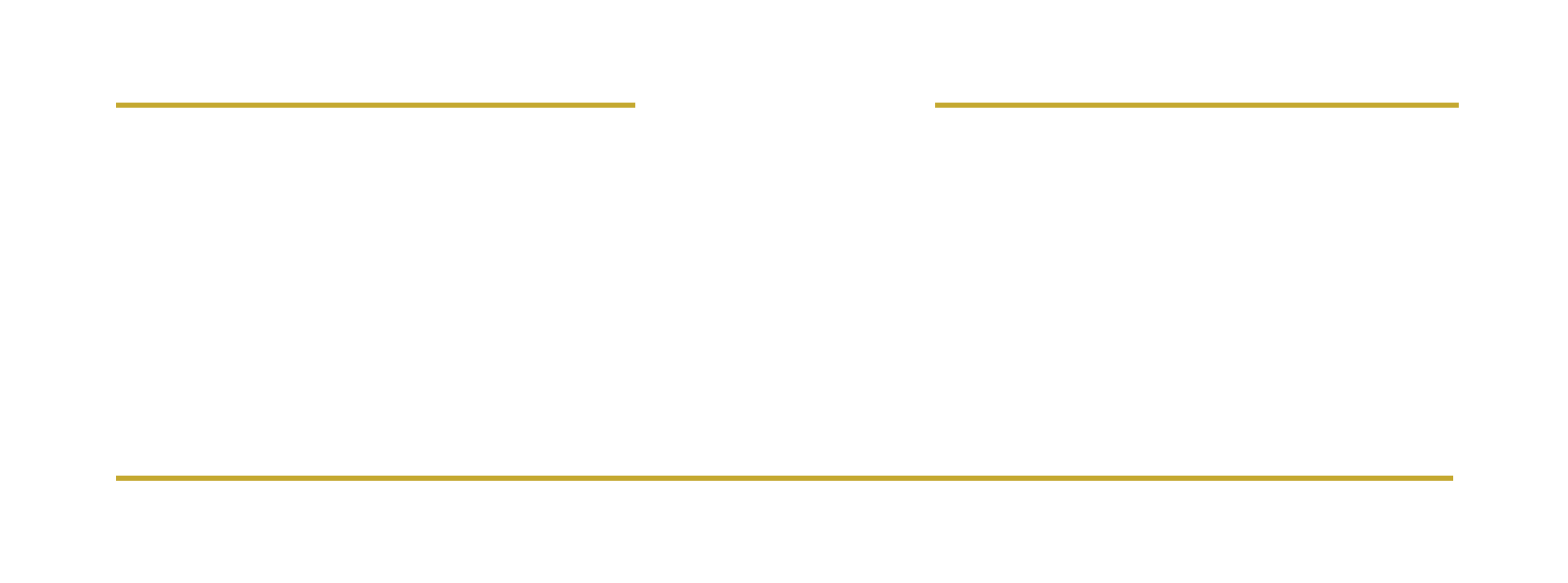 The Levinson logo
